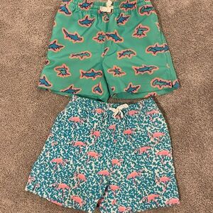 2 Pair Chubbies Kids Swim Shorts- 4T